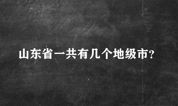 山东省一共有几个地级市？