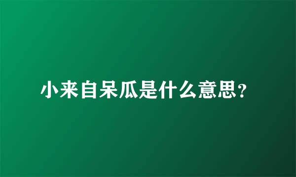 小来自呆瓜是什么意思？