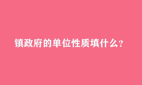 镇政府的单位性质填什么？