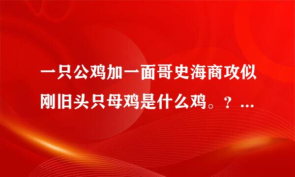 一只公鸡加一面哥史海商攻似刚旧头只母鸡是什么鸡。？脑筋急转弯哈银渐请微。！