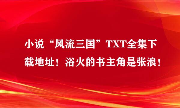 小说“风流三国”TXT全集下载地址！浴火的书主角是张浪！