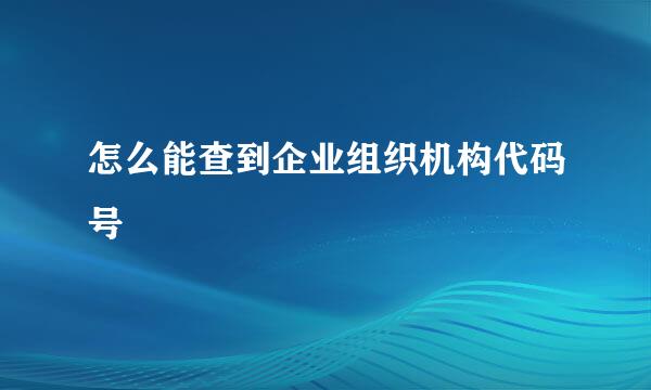 怎么能查到企业组织机构代码号