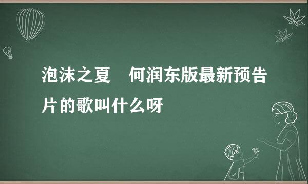 泡沫之夏 何润东版最新预告片的歌叫什么呀