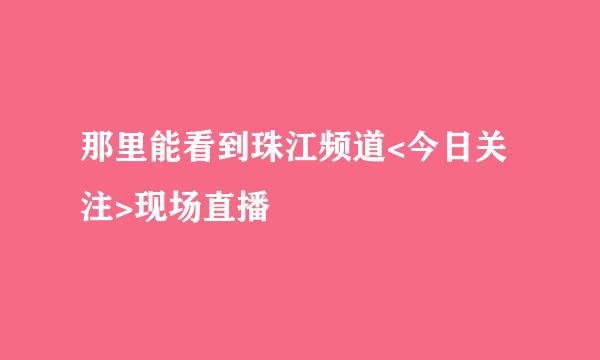 那里能看到珠江频道<今日关注>现场直播