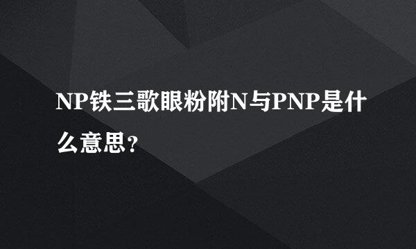 NP铁三歌眼粉附N与PNP是什么意思？