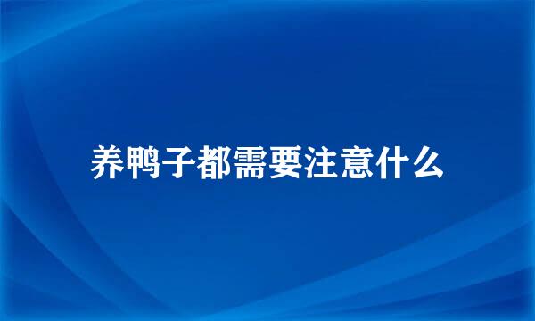 养鸭子都需要注意什么