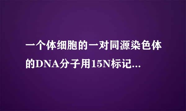 一个体细胞的一对同源染色体的DNA分子用15N标记，经2次有丝分裂后产生的4个子细胞中，，含15N标记 DNA分子的细胞所占的比例为（ ） 答案给个 50%，75%，100%多选。。。为什么