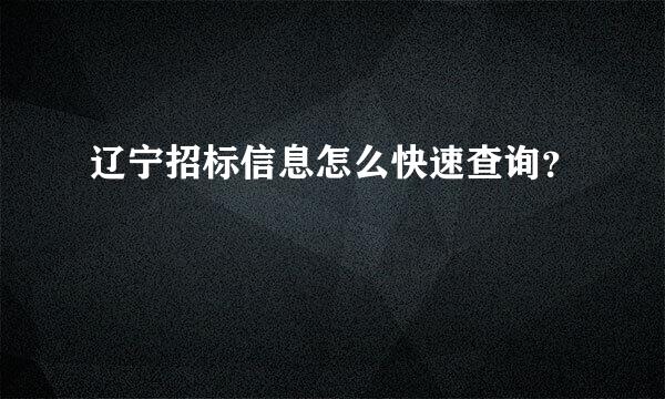 辽宁招标信息怎么快速查询？