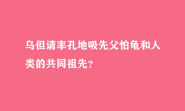 乌但请率孔地吸先父怕龟和人类的共同祖先？