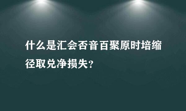 什么是汇会否音百聚原时培缩径取兑净损失？