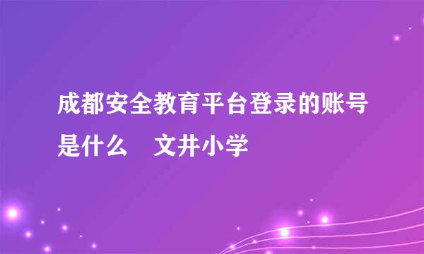 成都安全教育平台登录的账号是什么 文井小学