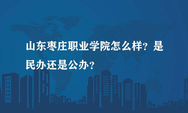 山东枣庄职业学院怎么样？是民办还是公办？