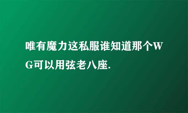 唯有魔力这私服谁知道那个WG可以用弦老八座.