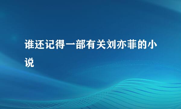 谁还记得一部有关刘亦菲的小说