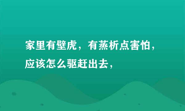 家里有壁虎，有蒸析点害怕，应该怎么驱赶出去，