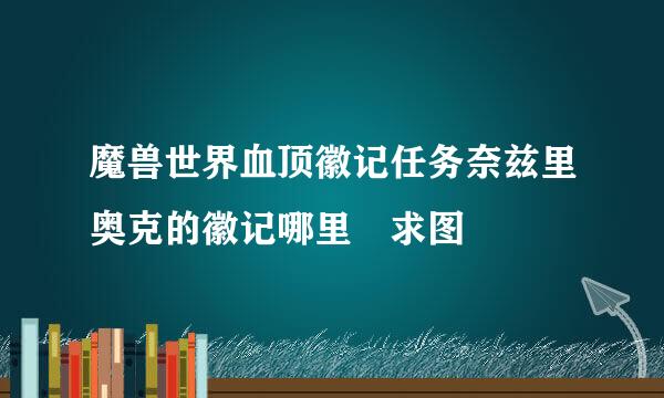 魔兽世界血顶徽记任务奈兹里奥克的徽记哪里 求图