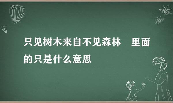 只见树木来自不见森林 里面的只是什么意思