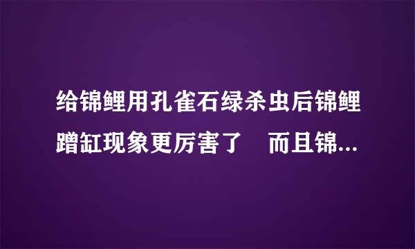 给锦鲤用孔雀石绿杀虫后锦鲤蹭缸现象更厉害了 而且锦鲤皮肤上起了一些雾蒙蒙的白色小点 眼睛上也有小白点