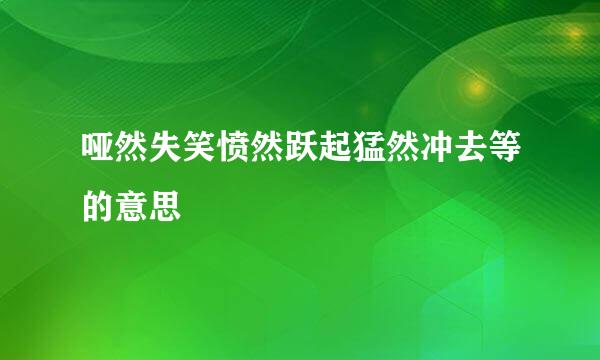 哑然失笑愤然跃起猛然冲去等的意思