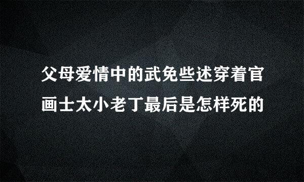 父母爱情中的武免些述穿着官画士太小老丁最后是怎样死的