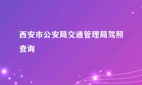 西安市公安局交通管理局驾照查询