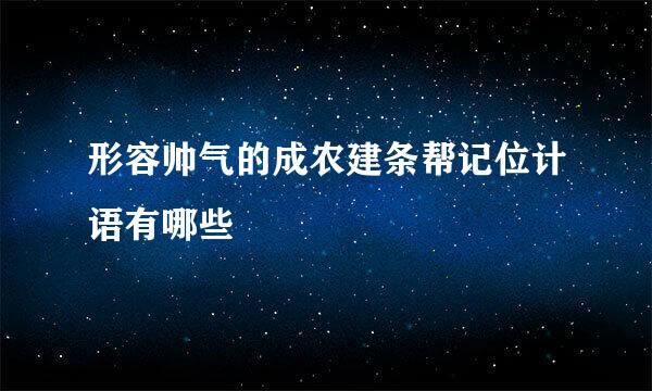 形容帅气的成农建条帮记位计语有哪些