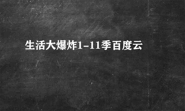 生活大爆炸1-11季百度云