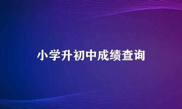 小学升初中成绩查询