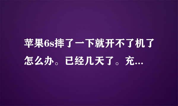 苹果6s摔了一下就开不了机了怎么办。已经几天了。充电也没任何显示