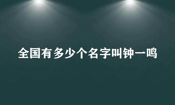 全国有多少个名字叫钟一鸣