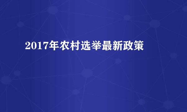 2017年农村选举最新政策