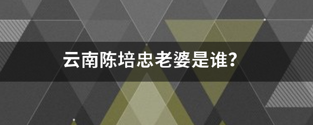 云南陈培忠老婆是谁？