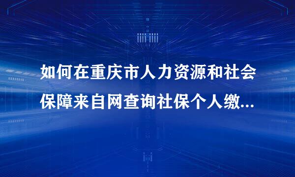 如何在重庆市人力资源和社会保障来自网查询社保个人缴费360问答明细（含养老、医疗、生育、工伤、失业这5个险种）