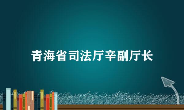 青海省司法厅辛副厅长