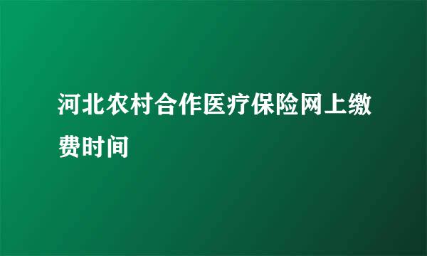 河北农村合作医疗保险网上缴费时间