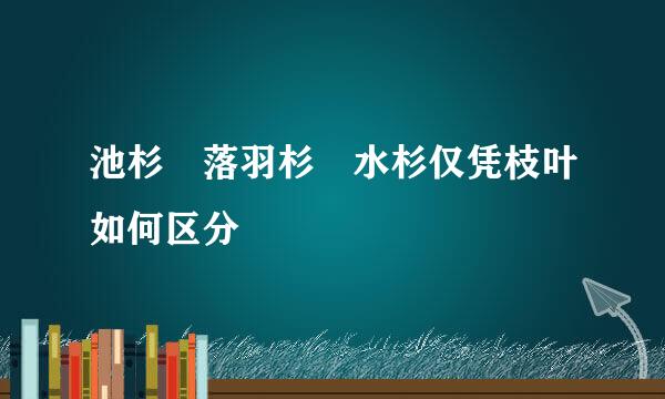 池杉 落羽杉 水杉仅凭枝叶如何区分