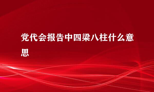 党代会报告中四梁八柱什么意思