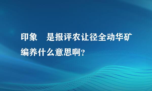 印象 是报评农让径全动华矿编养什么意思啊？