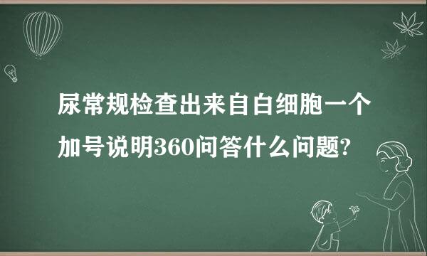 尿常规检查出来自白细胞一个加号说明360问答什么问题?