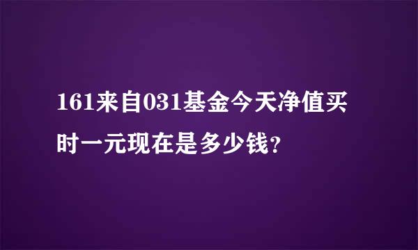 161来自031基金今天净值买时一元现在是多少钱？