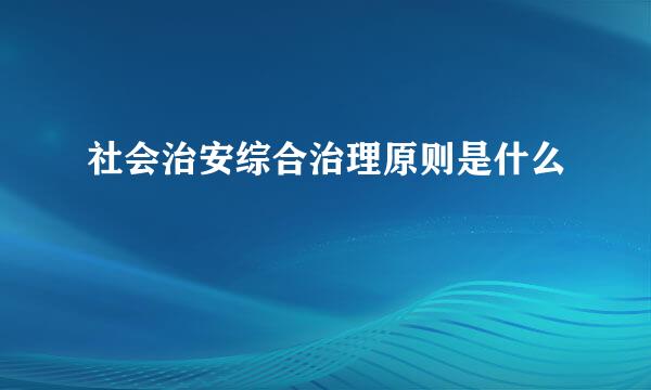 社会治安综合治理原则是什么