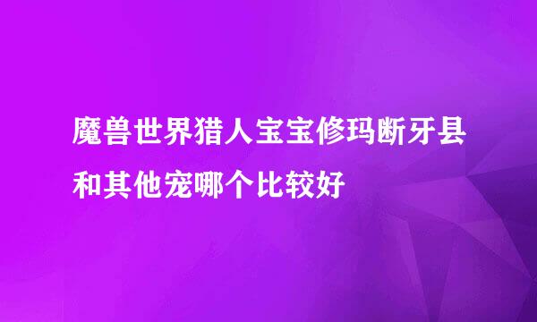 魔兽世界猎人宝宝修玛断牙县和其他宠哪个比较好