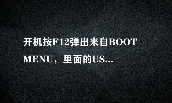 开机按F12弹出来自BOOT MENU，里面的USB——FDD、USB——ZIP、USB——HDD各是什么意思。