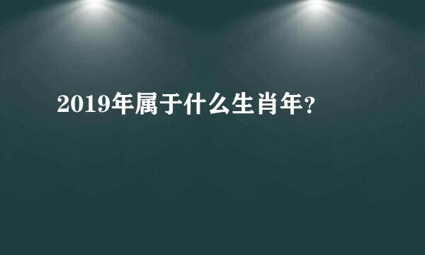 2019年属于什么生肖年？