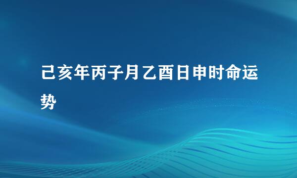 己亥年丙子月乙酉日申时命运势