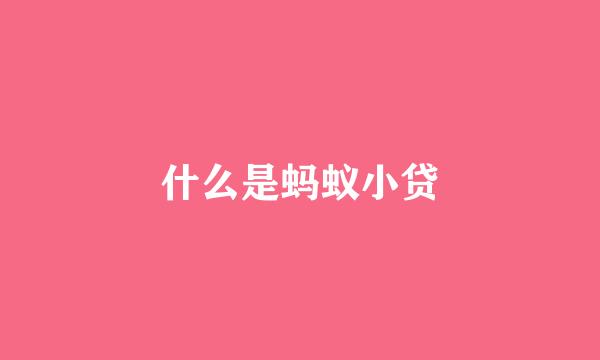 什么是蚂蚁小贷