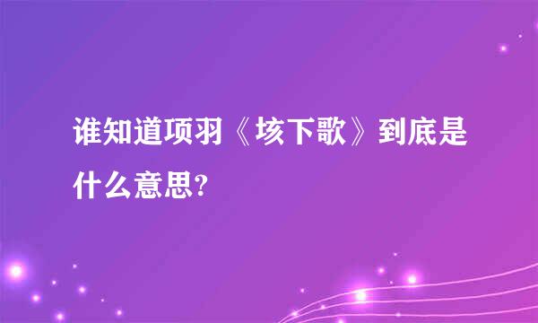 谁知道项羽《垓下歌》到底是什么意思?