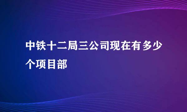 中铁十二局三公司现在有多少个项目部