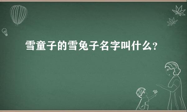 雪童子的雪兔子名字叫什么？