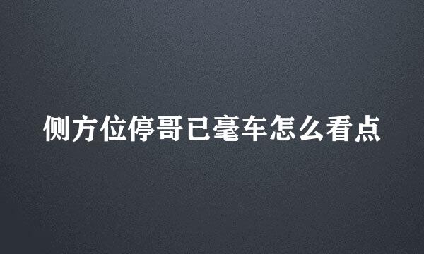 侧方位停哥已毫车怎么看点